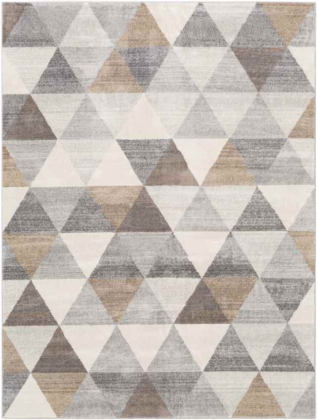 Oshaar Modern Medium Gray Area Rug