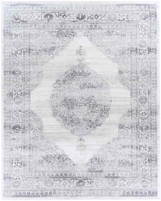 Peest Traditional Medium Gray Area Rug