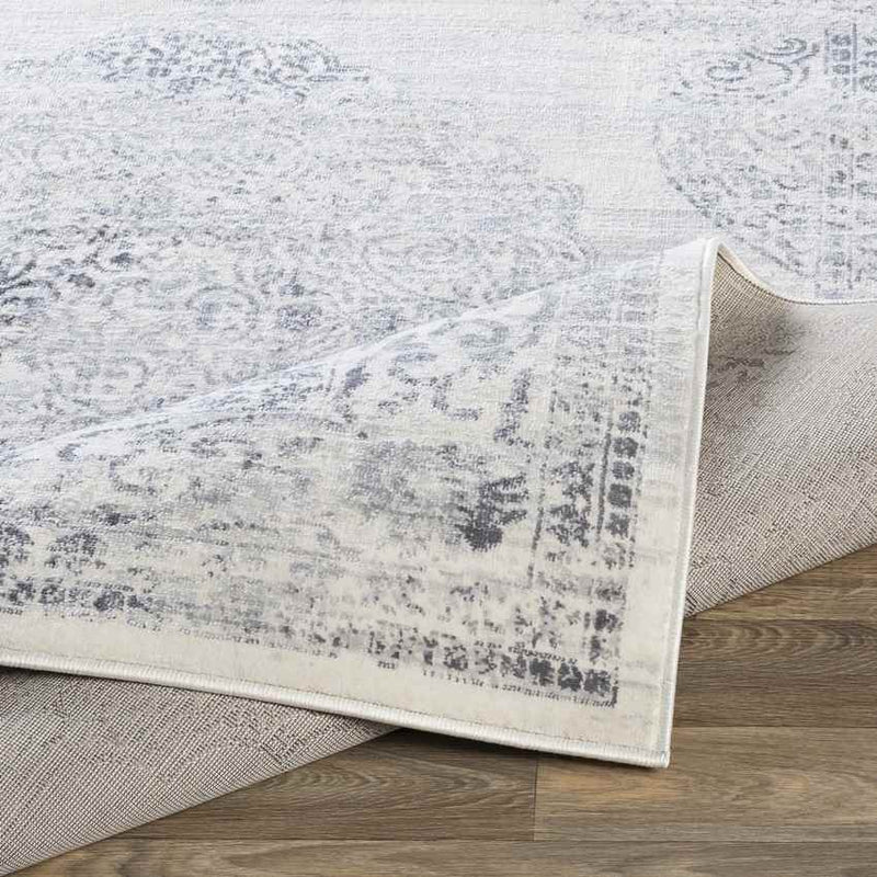 Peest Traditional Medium Gray Area Rug