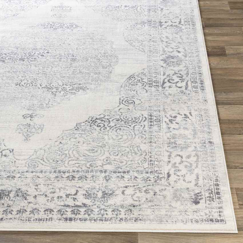 Peest Traditional Medium Gray Area Rug