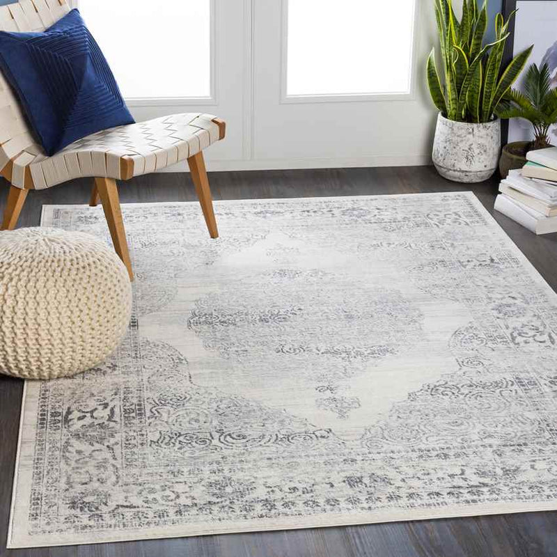 Peest Traditional Medium Gray Area Rug