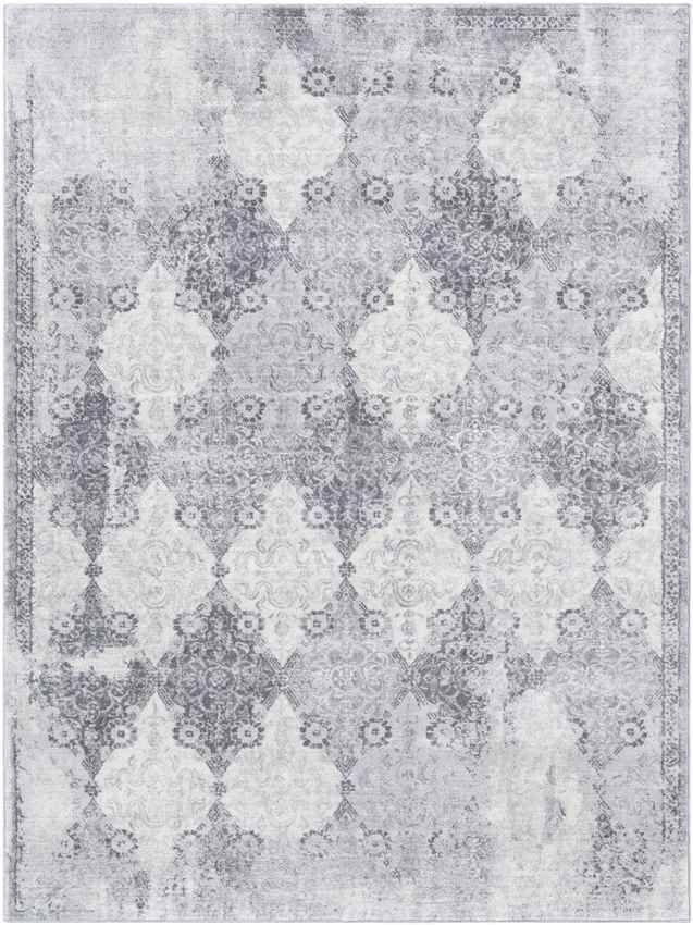 Pesse Traditional Medium Gray Area Rug