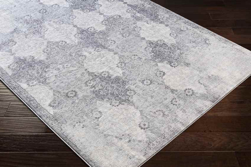 Pesse Traditional Medium Gray Area Rug