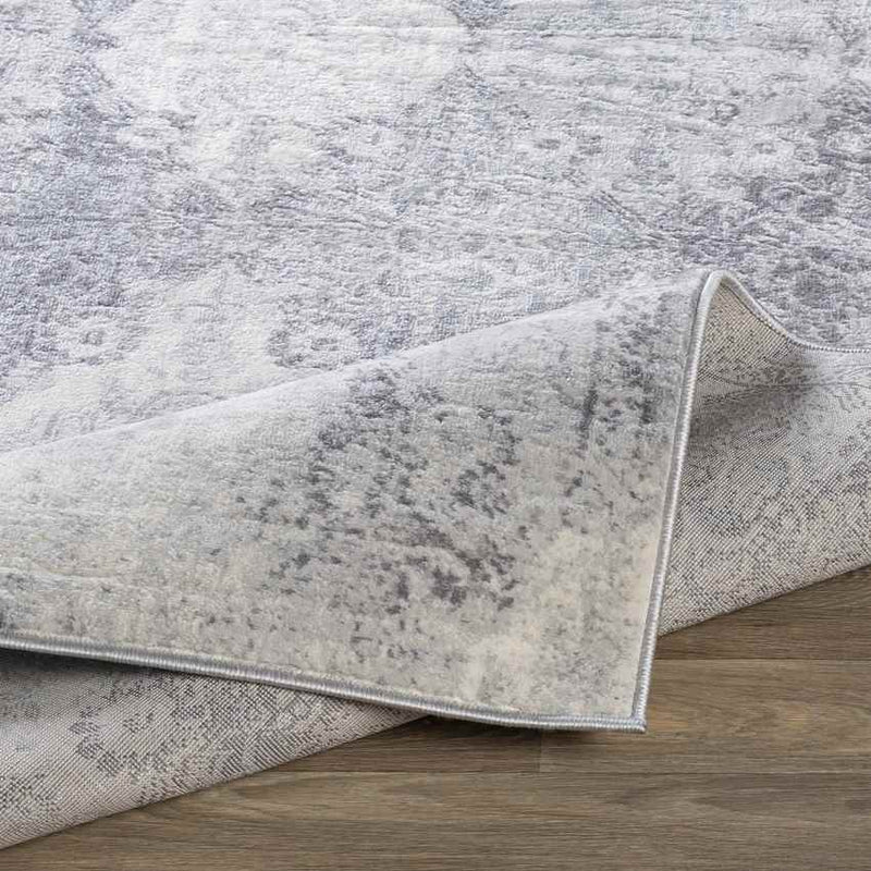 Pesse Traditional Medium Gray Area Rug