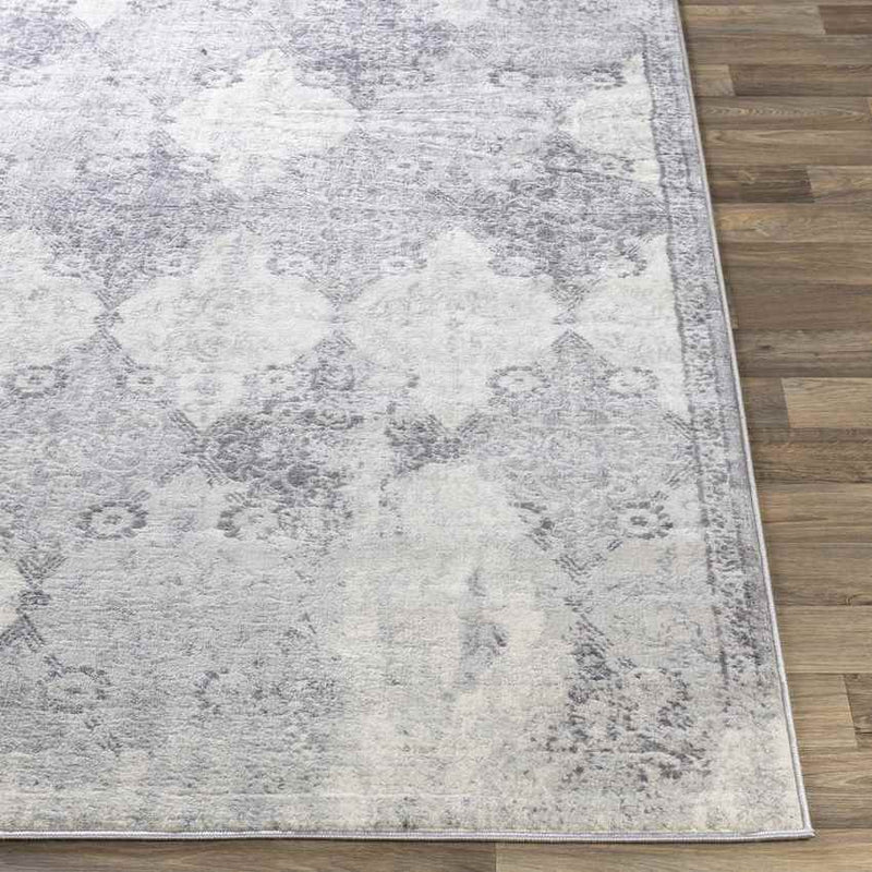 Pesse Traditional Medium Gray Area Rug