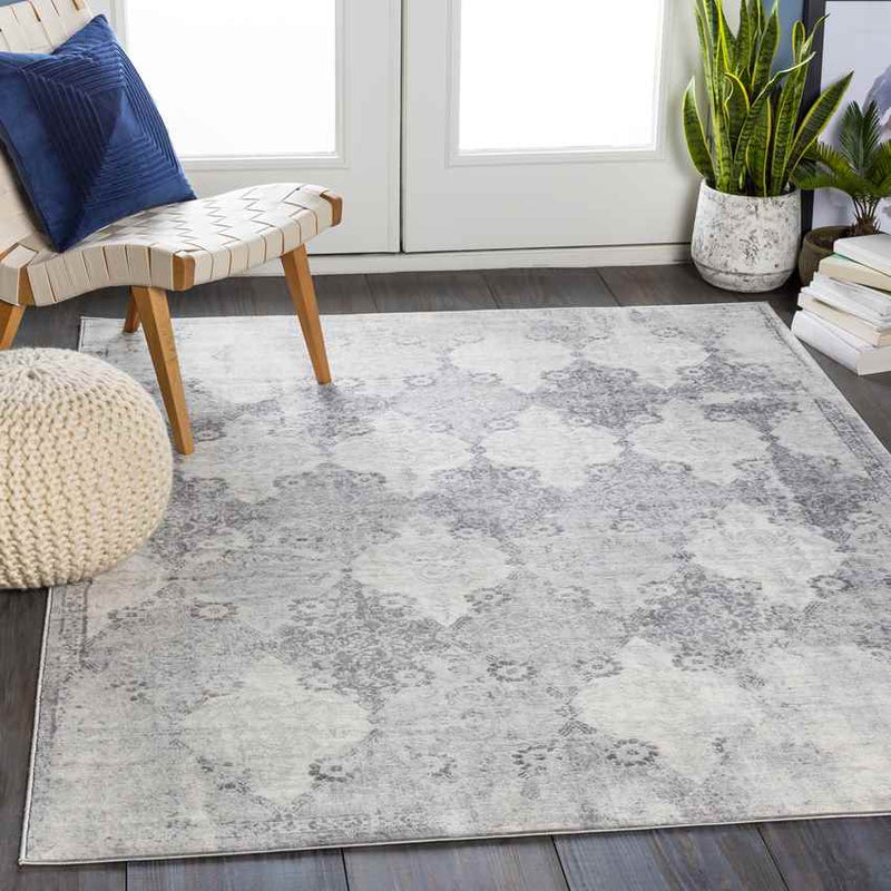 Pesse Traditional Medium Gray Area Rug