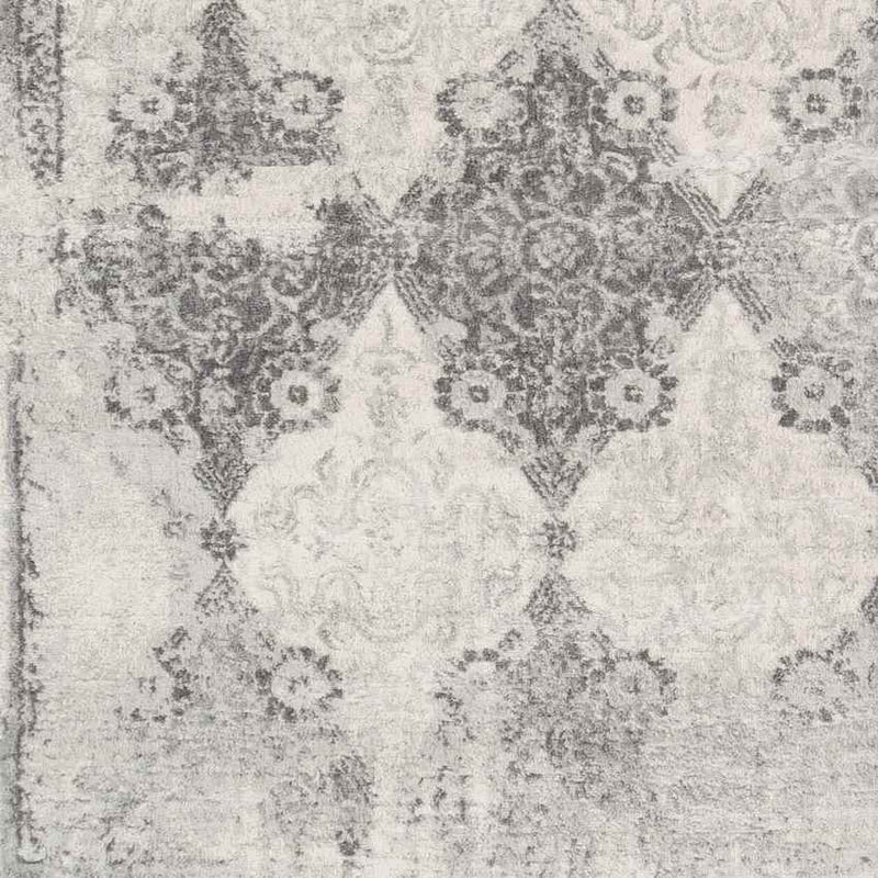 Pesse Traditional Medium Gray Area Rug