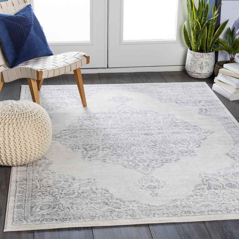 Pieperij Traditional Medium Gray Area Rug