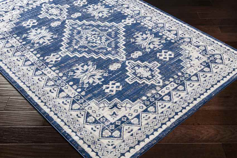 Pikveld Traditional Light Gray Area Rug