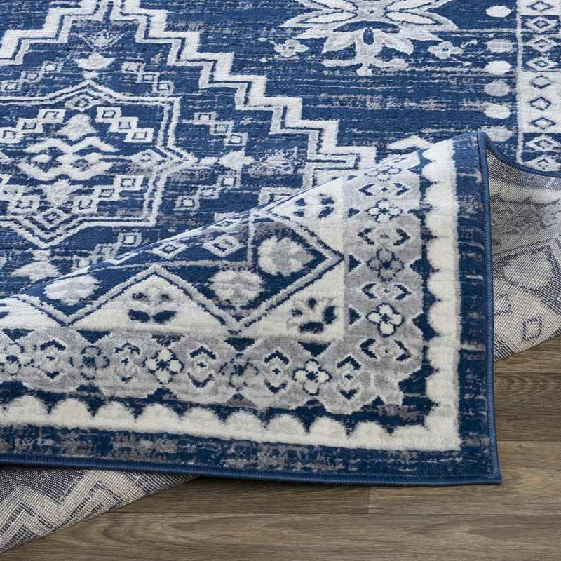 Pikveld Traditional Light Gray Area Rug