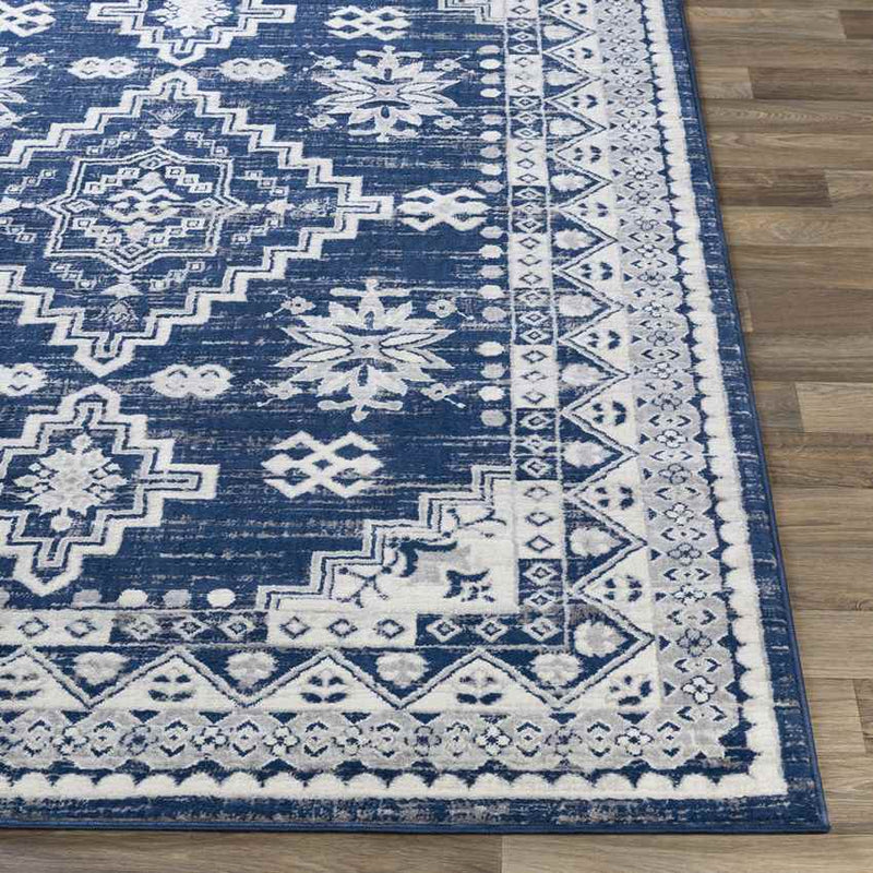 Pikveld Traditional Light Gray Area Rug