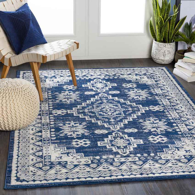 Pikveld Traditional Light Gray Area Rug