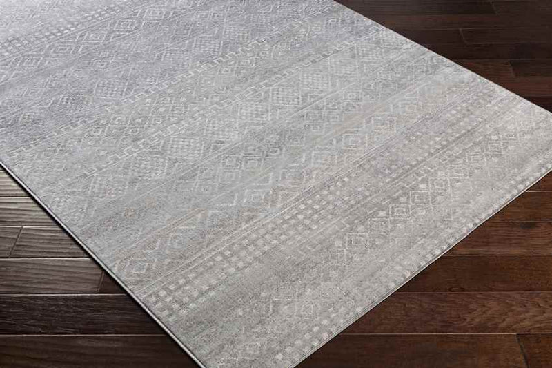 Roswinkel Global Medium Gray Area Rug