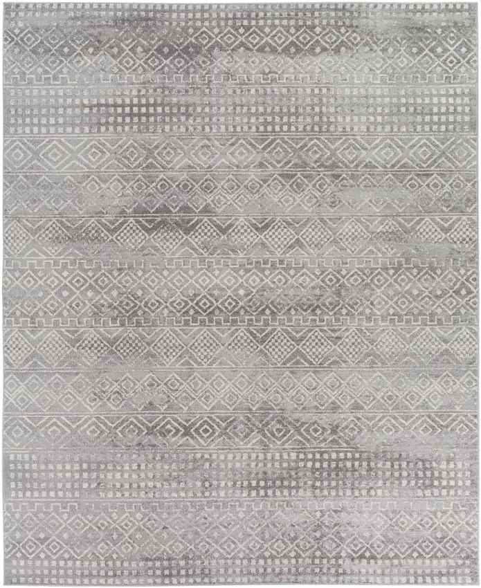 Roswinkel Global Medium Gray Area Rug