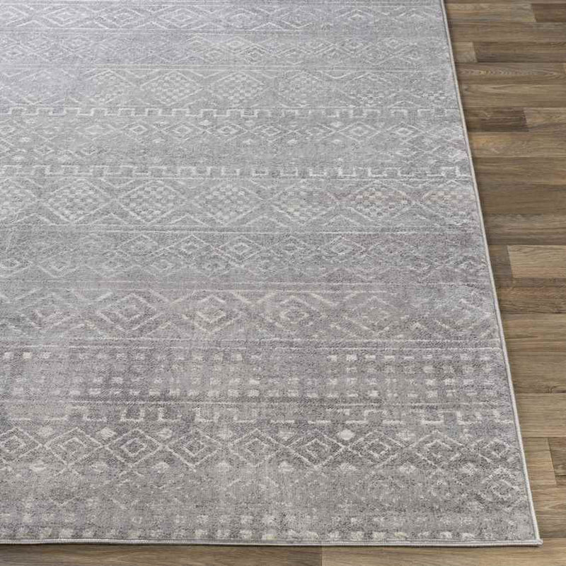 Roswinkel Global Medium Gray Area Rug