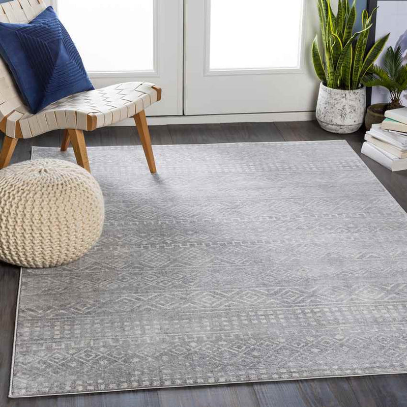 Roswinkel Global Medium Gray Area Rug