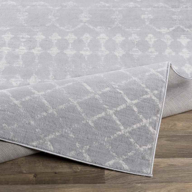 Ruinen Global Medium Gray Area Rug