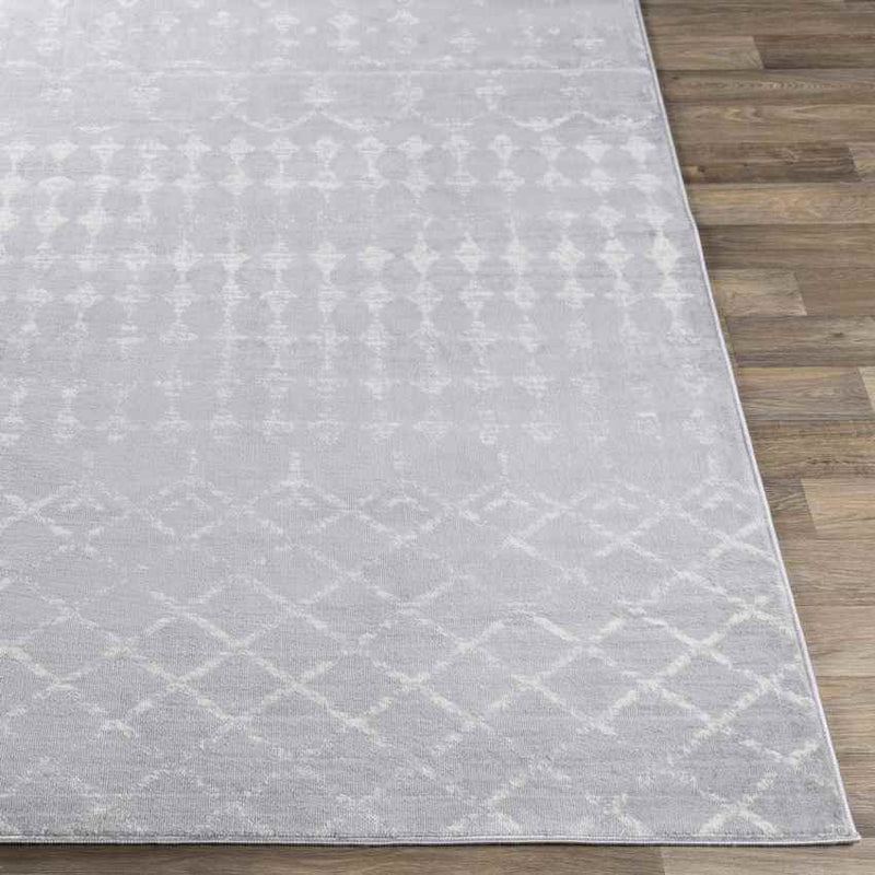 Ruinen Global Medium Gray Area Rug