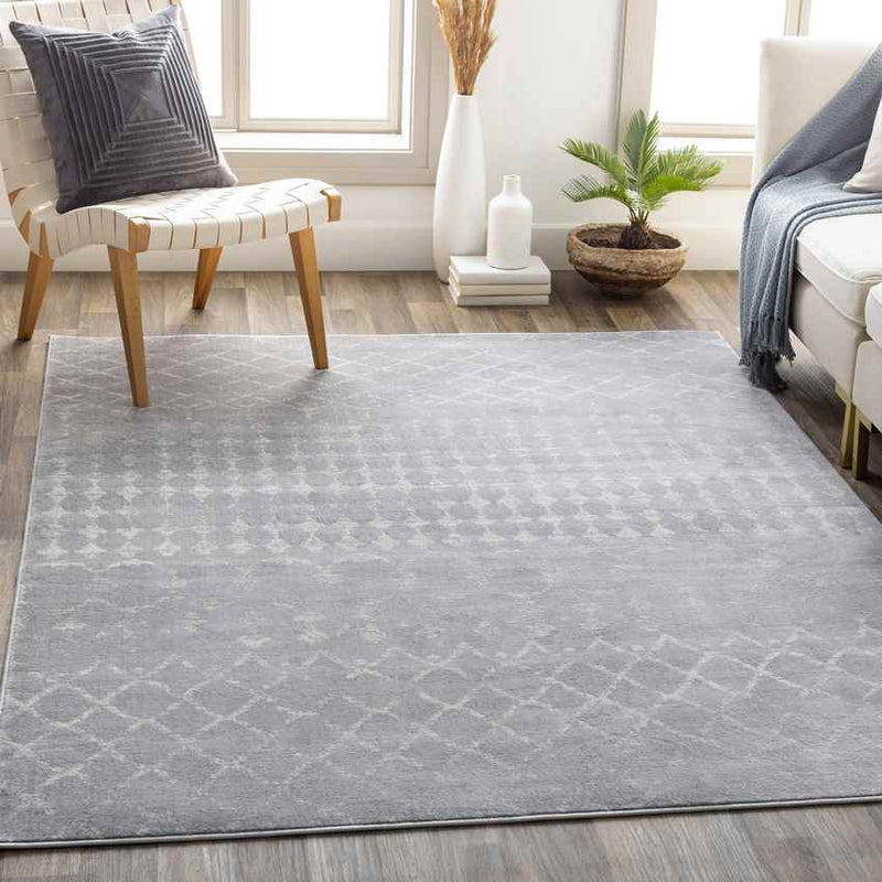 Ruinen Global Medium Gray Area Rug