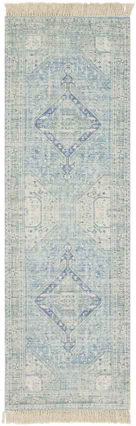 Winde Traditional Sky Blue Area Rug