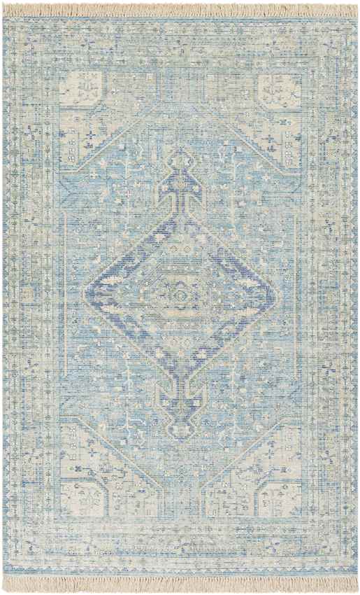 Winde Traditional Sky Blue Area Rug