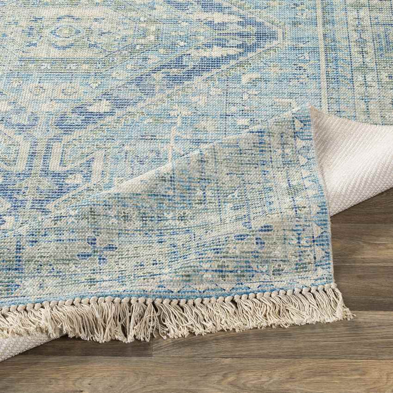 Winde Traditional Sky Blue Area Rug