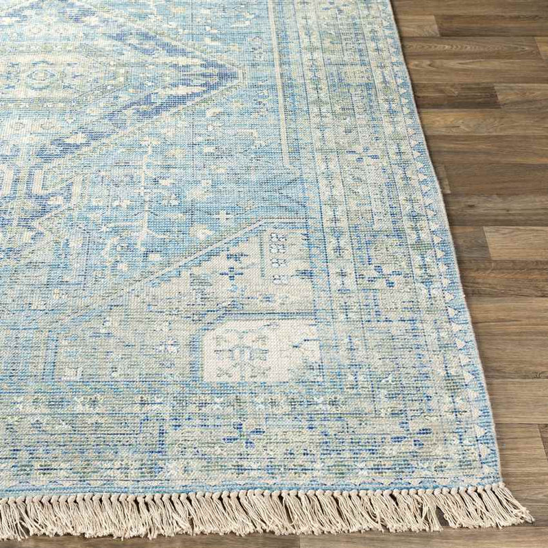 Winde Traditional Sky Blue Area Rug