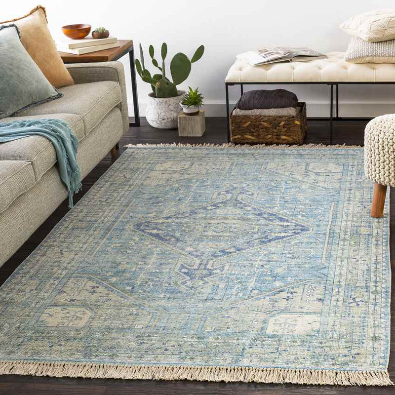 Winde Traditional Sky Blue Area Rug