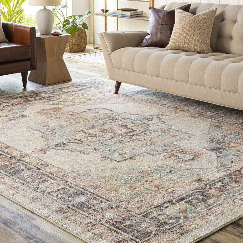 Zuidvelde Traditional Gray/Cream Area Rug