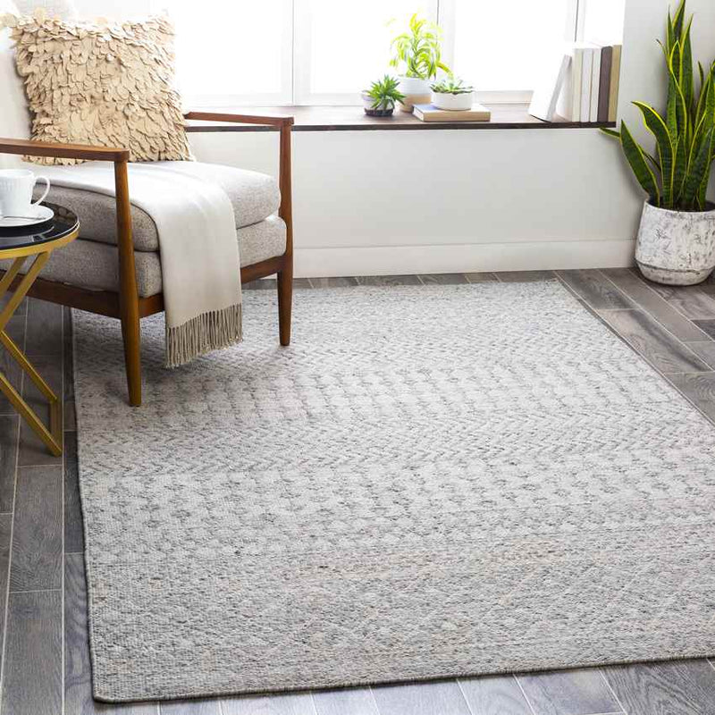 Beemster Global Medium Gray Area Rug