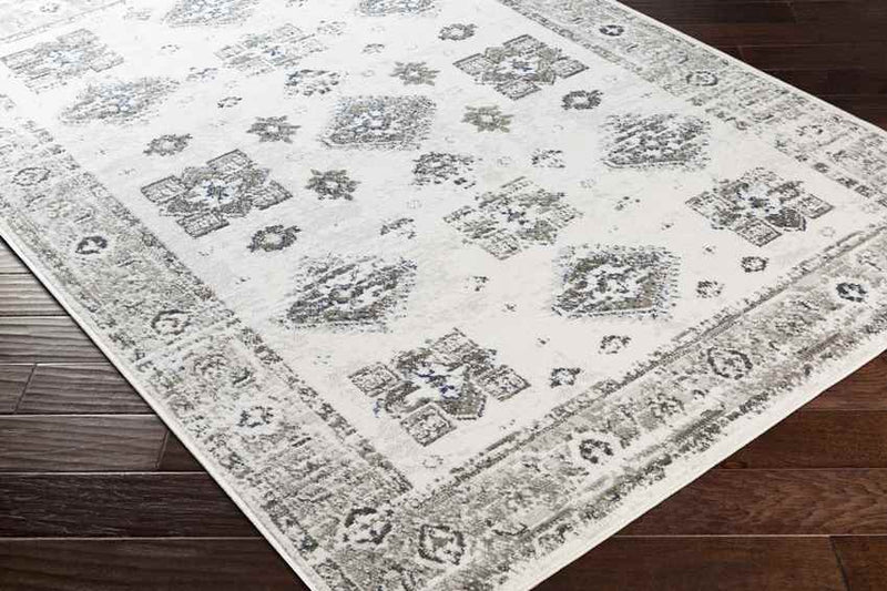 Royston Traditional Light Gray Area Rug