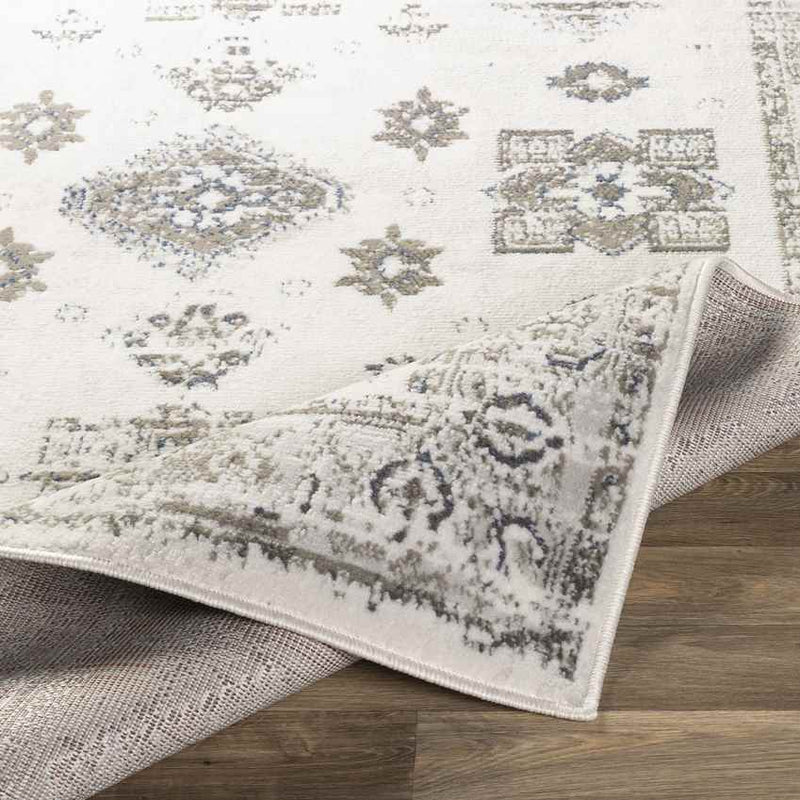 Royston Traditional Light Gray Area Rug