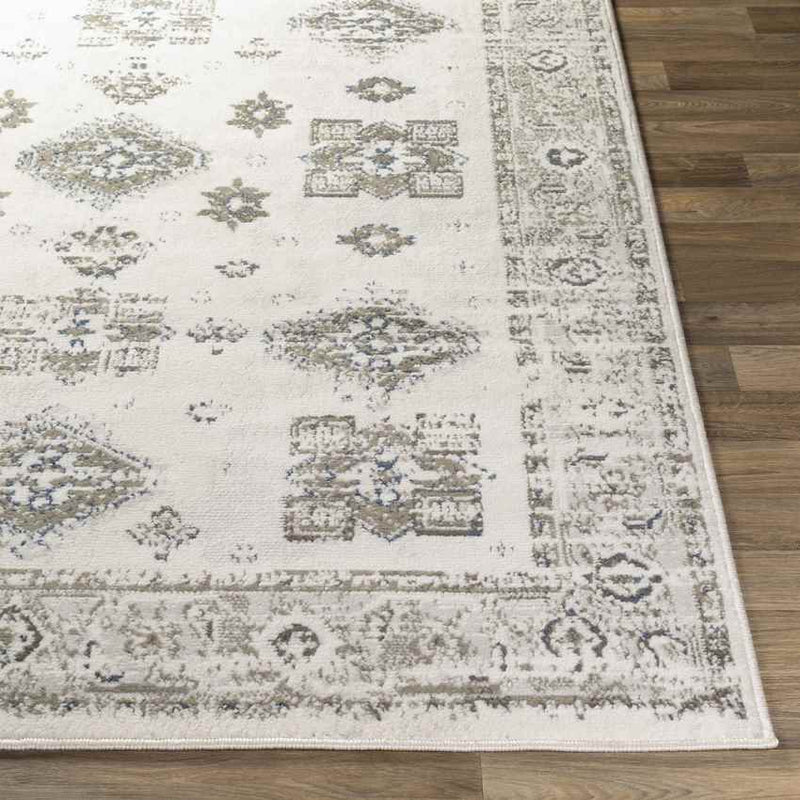 Royston Traditional Light Gray Area Rug