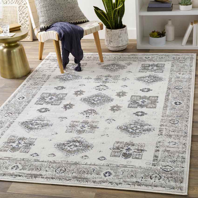 Royston Traditional Light Gray Area Rug