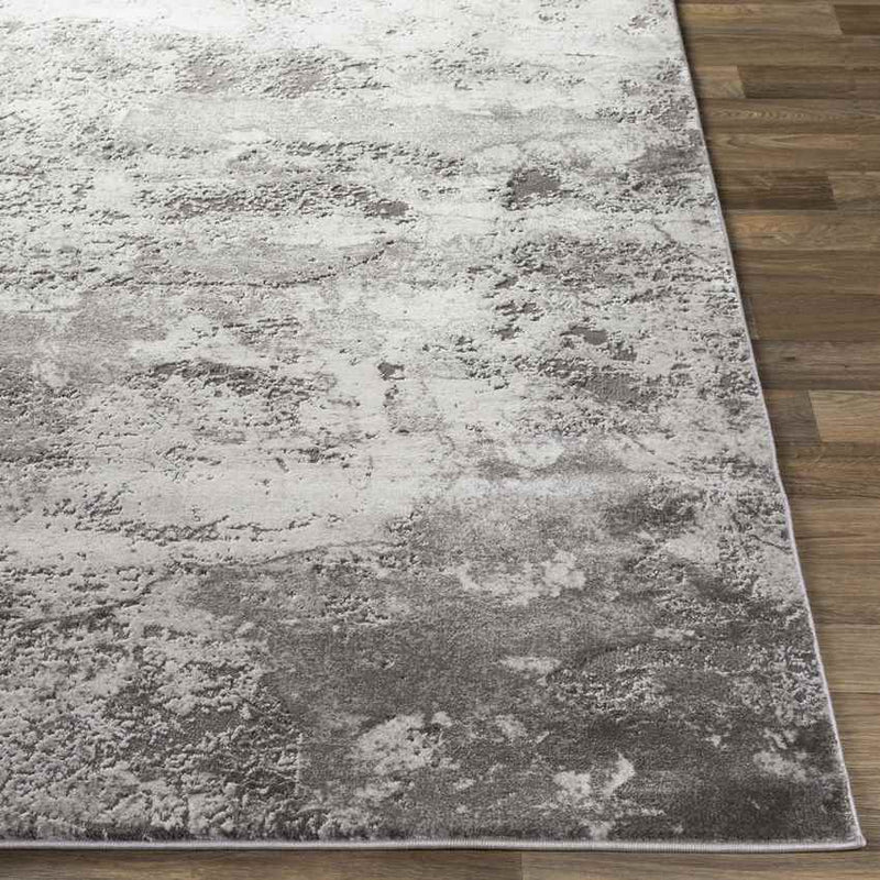 Landgraaf Modern Medium Gray Area Rug