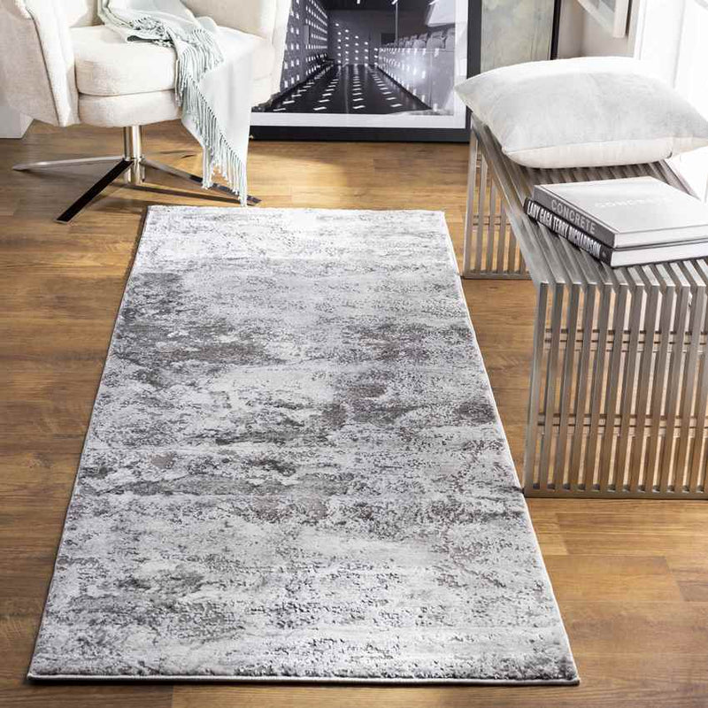 Landgraaf Modern Medium Gray Area Rug