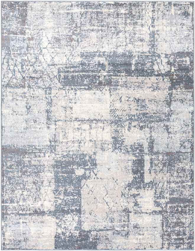 Bern Modern Light Gray Area Rug