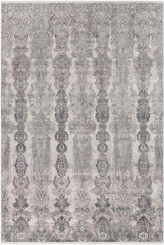 Crissier Traditional Medium Gray Area Rug