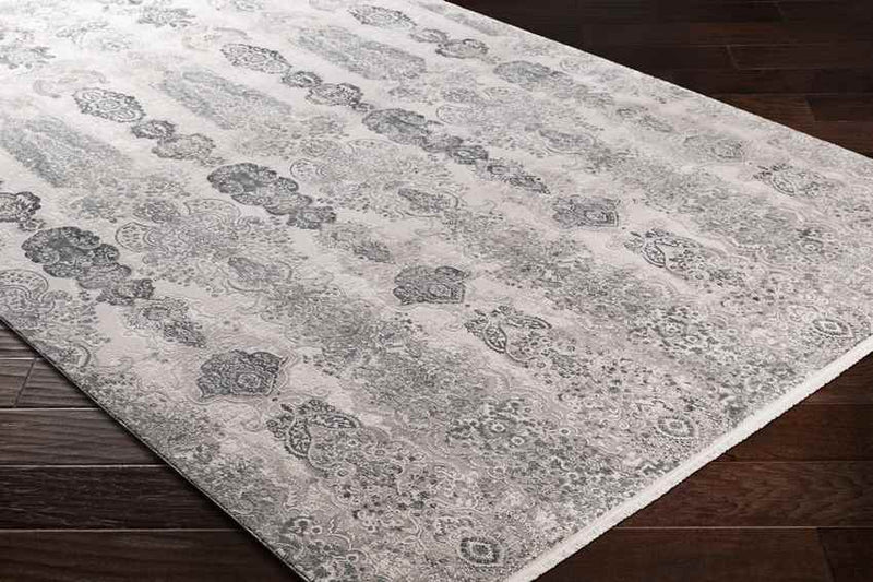 Crissier Traditional Medium Gray Area Rug