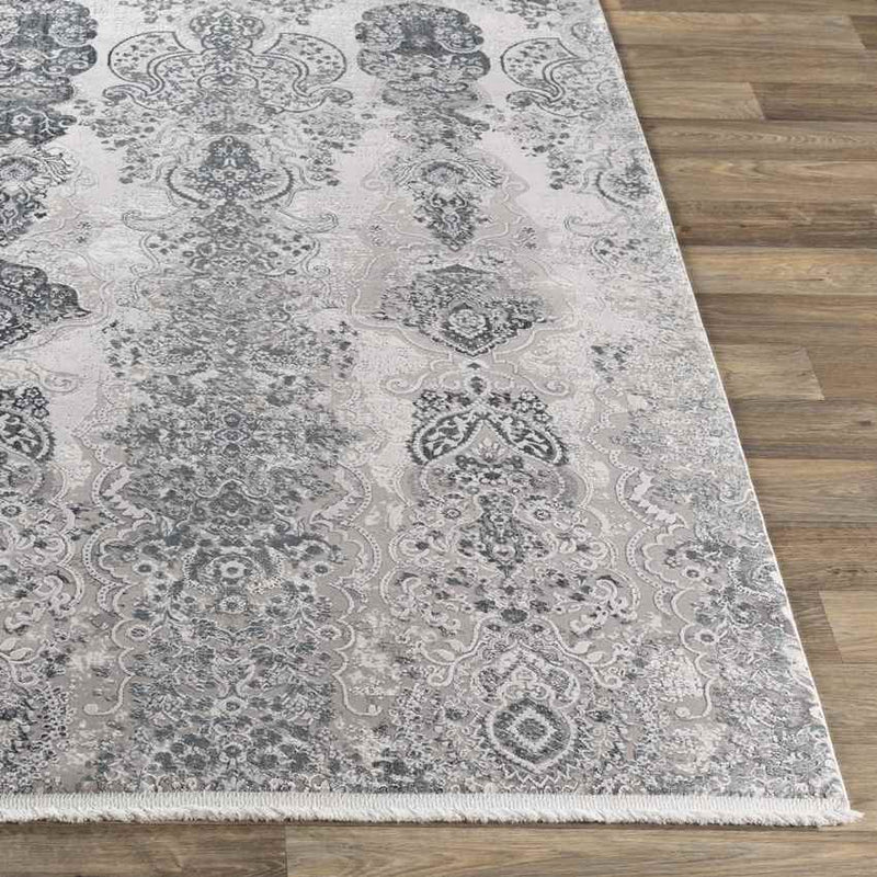 Crissier Traditional Medium Gray Area Rug