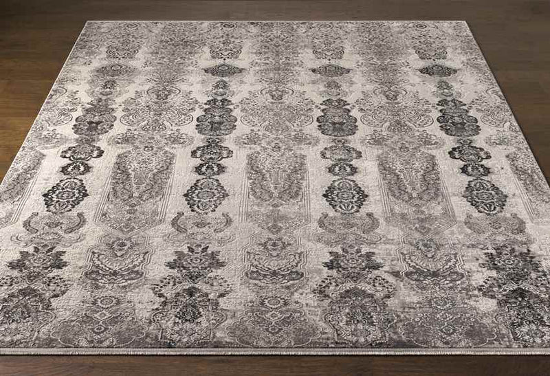 Crissier Traditional Medium Gray Area Rug