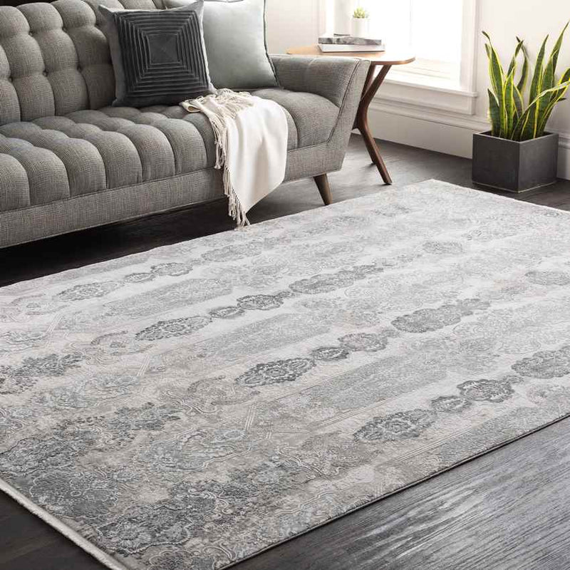 Crissier Traditional Medium Gray Area Rug