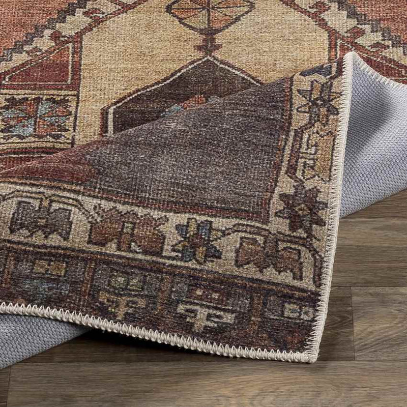 Feldbach Traditional Dark Brown Area Rug