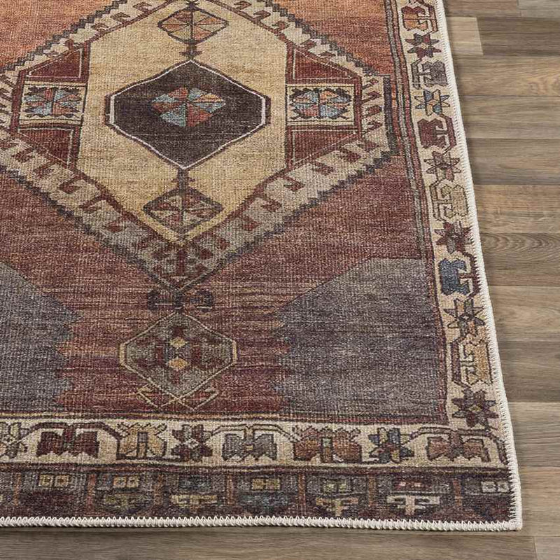 Feldbach Traditional Dark Brown Area Rug