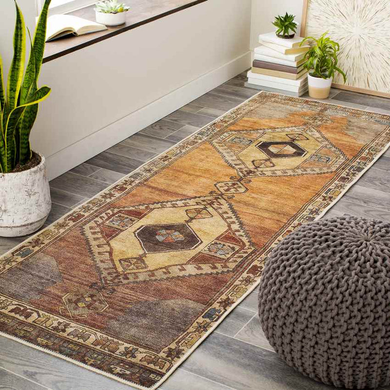 Feldbach Traditional Dark Brown Area Rug