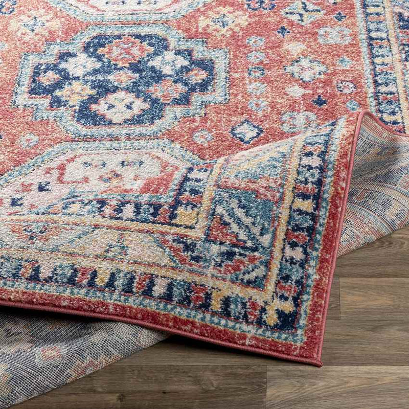 Fribourg Traditional Garnet Area Rug