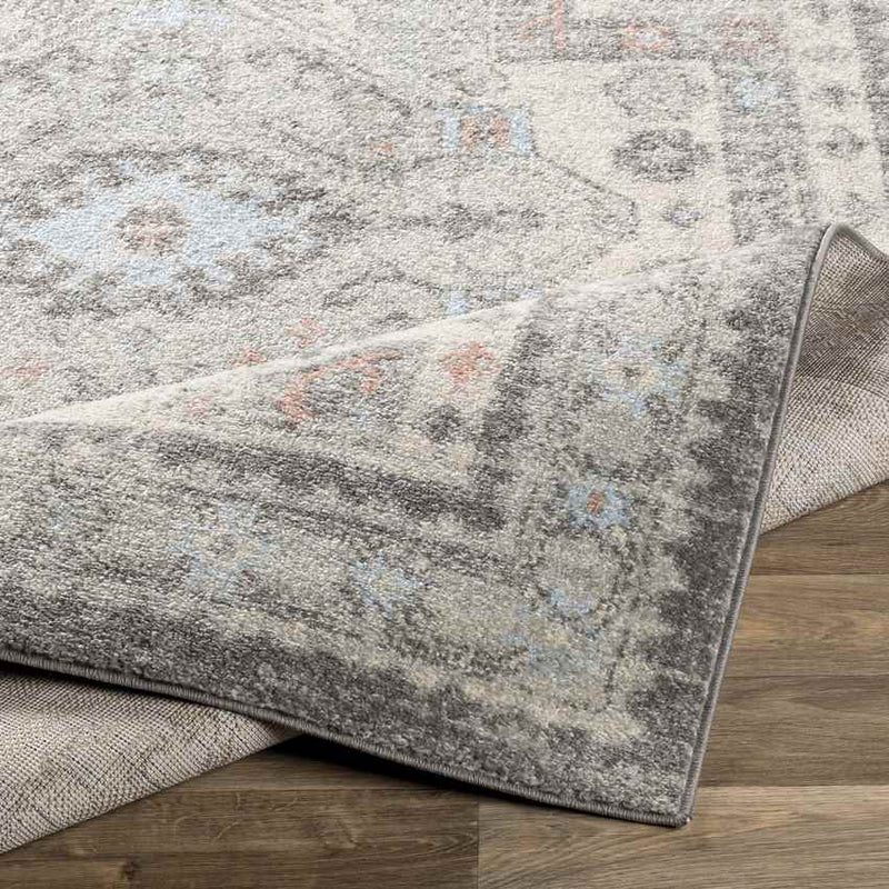 Tadley Traditional Medium Gray Area Rug