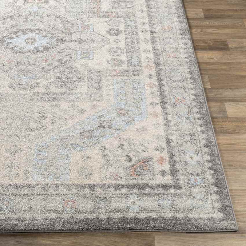 Tadley Traditional Medium Gray Area Rug