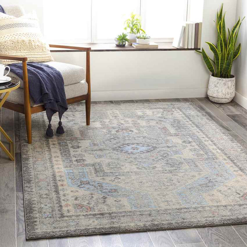 Tadley Traditional Medium Gray Area Rug