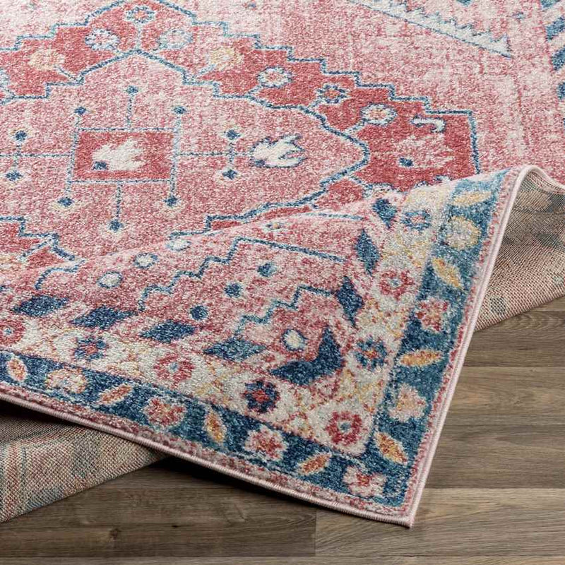 Taunton Traditional Blush Area Rug